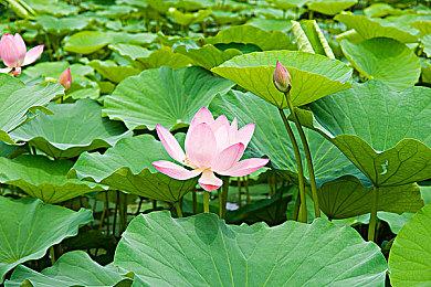 拉瑞安发行主管批评育碧解散《波斯王子》开发团队：非常失败的策略